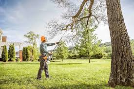 Best Arborist Consultation Services  in Clendenin, WV