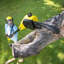 Best Commercial Tree Services  in Clendenin, WV